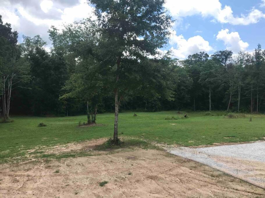 Tiny With Hammock Loft Bbq And Yard * Phenix City